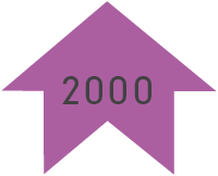arrow for year 2000