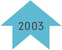 arrow for year 2003