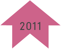 arrow for year 2011